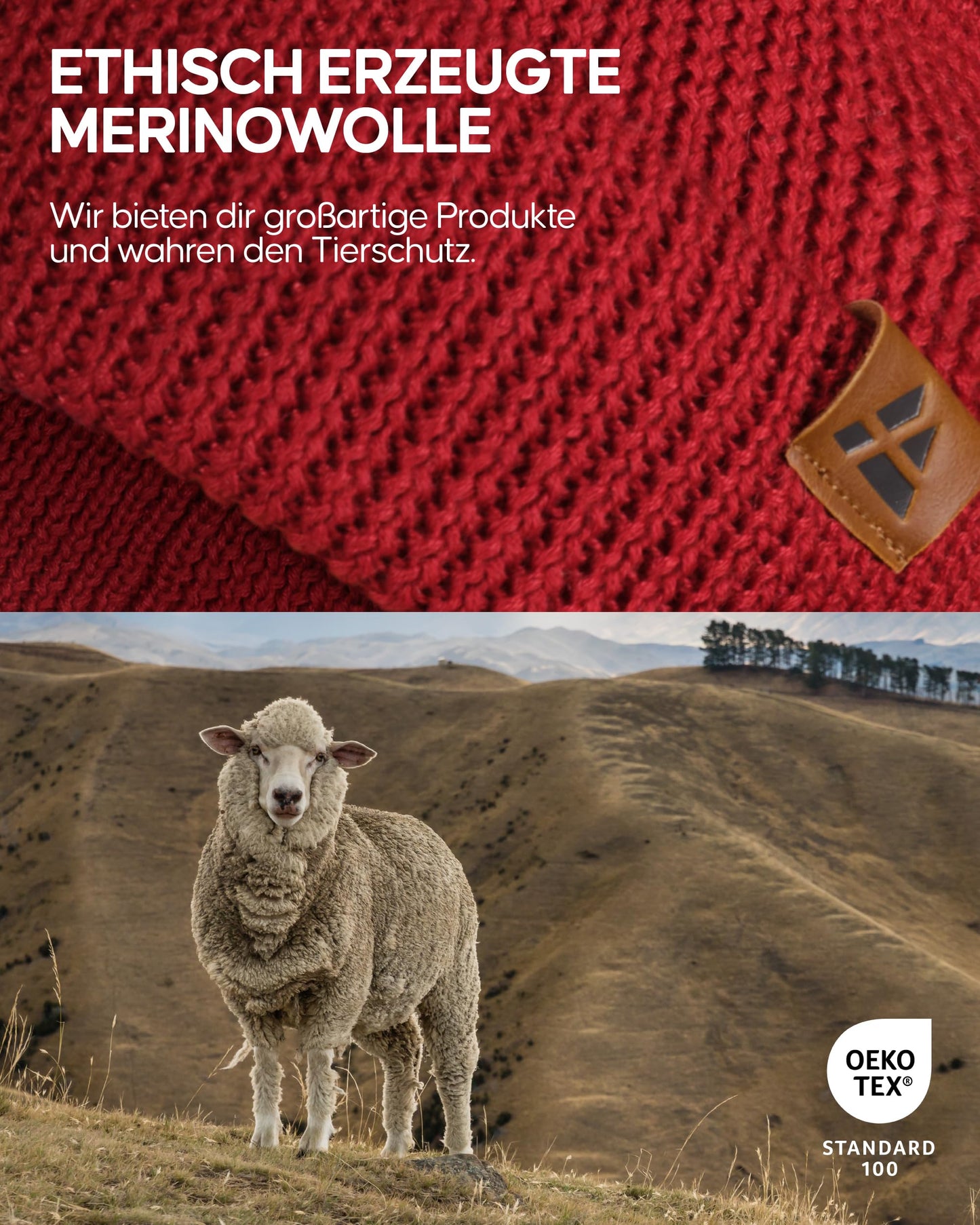 DANISH ENDURANCE Merino Mütze, Klassische Wollmütze, Warme Wintermütze, für Winter & Herbst, Weich, Stretchy, für Damen & Herren, Rot, One Size - nargiss