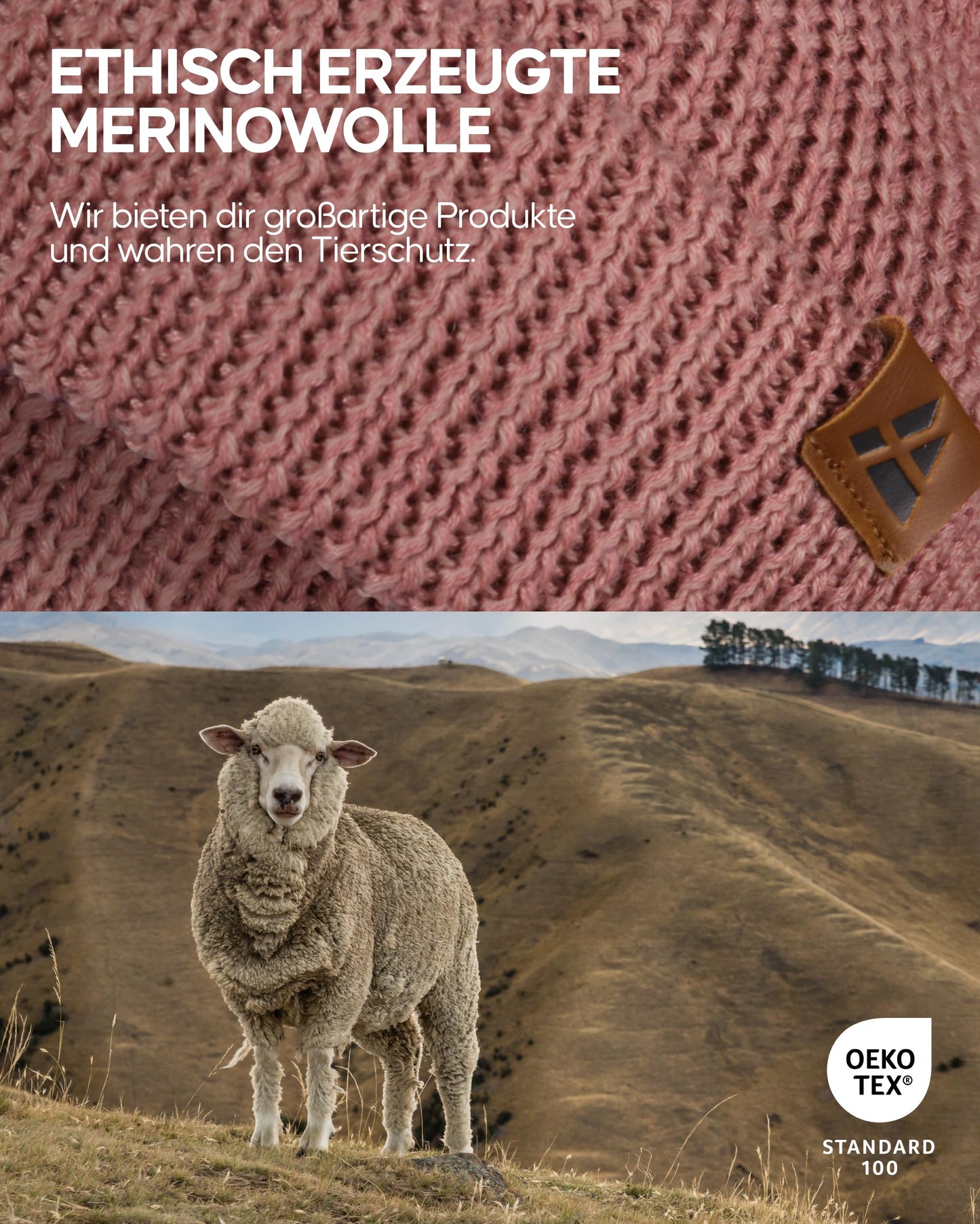DANISH ENDURANCE Merino Mütze, Klassische Wollmütze, Warme Wintermütze, für Winter & Herbst, Weich, Stretchy, für Damen & Herren, Rosa, One Size - nargiss