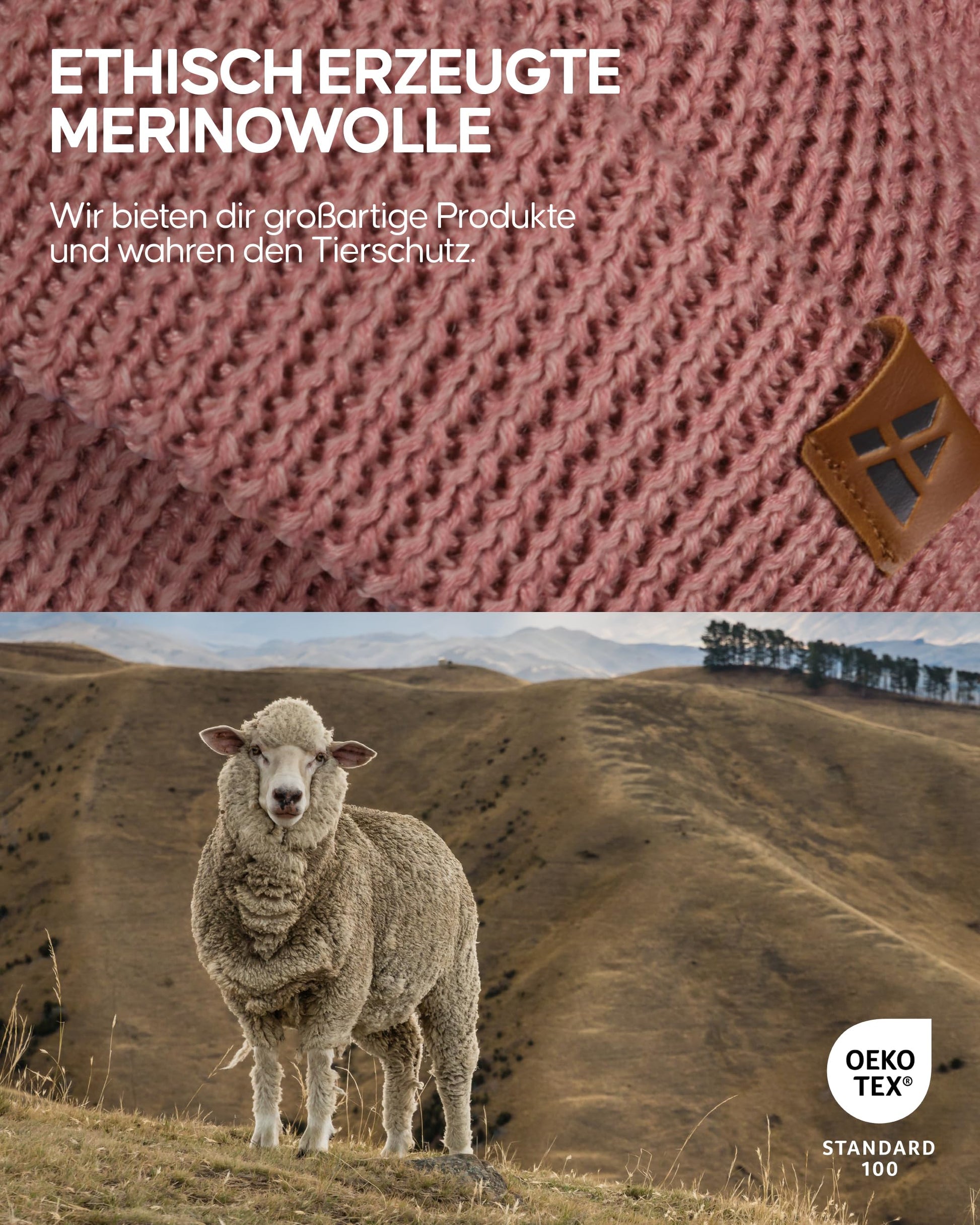 DANISH ENDURANCE Merino Mütze, Klassische Wollmütze, Warme Wintermütze, für Winter & Herbst, Weich, Stretchy, für Damen & Herren, Rosa, One Size - nargiss
